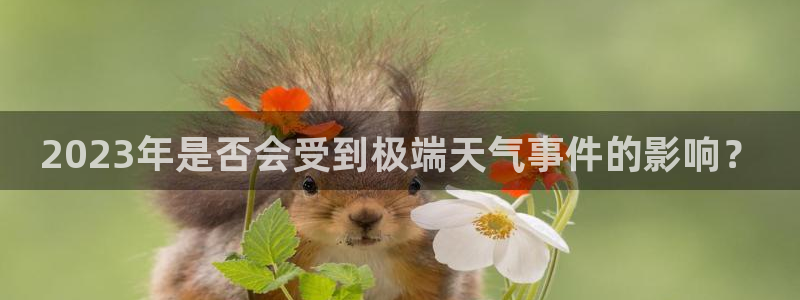 mg不朽情缘4：2023年是否会受到极端天气事件的影响？