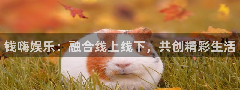 mg不朽情缘f凯捷平台在线注册：钱嗨娱乐：融合线上线下，共创精彩生活