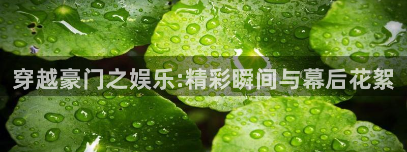 mg不朽情缘凯捷平台：穿越豪门之娱乐:精彩瞬间与幕后花絮