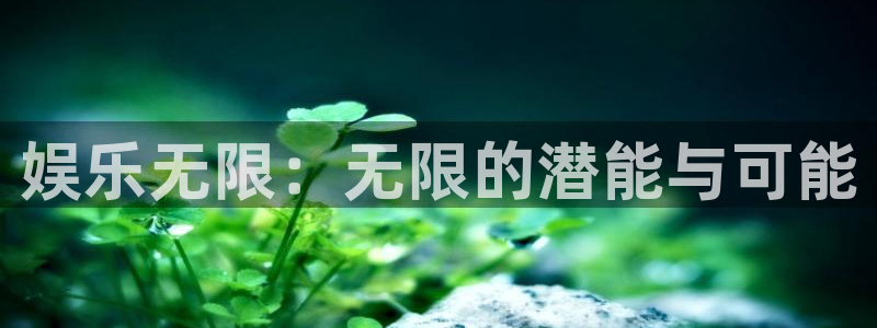 mg不朽情缘平台招商：娱乐无限：无限的潜能与可能