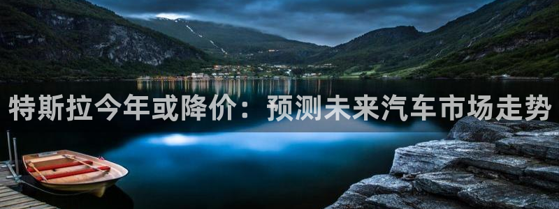 佛山市南海mg不朽情缘机电仪器有限公司：特斯拉今年或降价：预测未来汽车市场走势