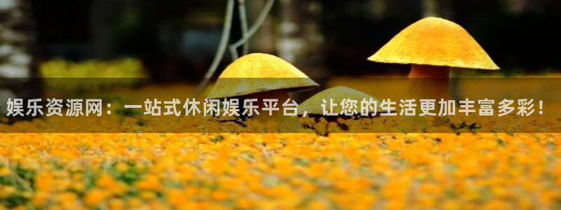 mg不朽情缘登录：娱乐资源网：一站式休闲娱乐平台，让您的生活更加丰富多彩！