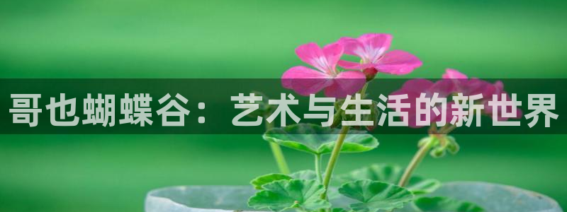 mg不朽情缘官网注册：哥也蝴蝶谷：艺术与生活的新世界