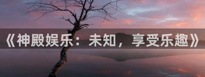 mg不朽情缘体育2：《神殿娱乐：未知，享受乐趣》