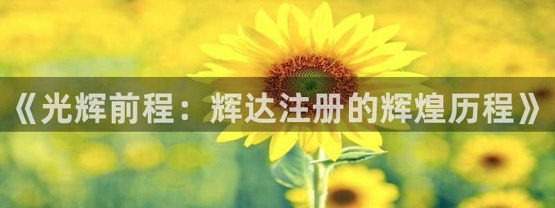 mg不朽情缘f平台注册：《光辉前程：辉达注册的辉煌历程》