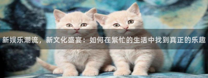 mg不朽情缘现在优惠多少：新娱乐潮流，新文化盛宴：如何在繁忙的生活中找到真正的乐
