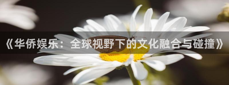 mg不朽情缘平台招商：《华侨娱乐：全球视野下的文化融合与碰撞》