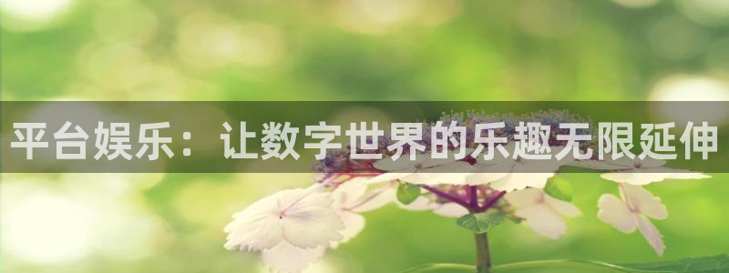 mg不朽情缘3注册：平台娱乐：让数字世界的乐趣无限延伸