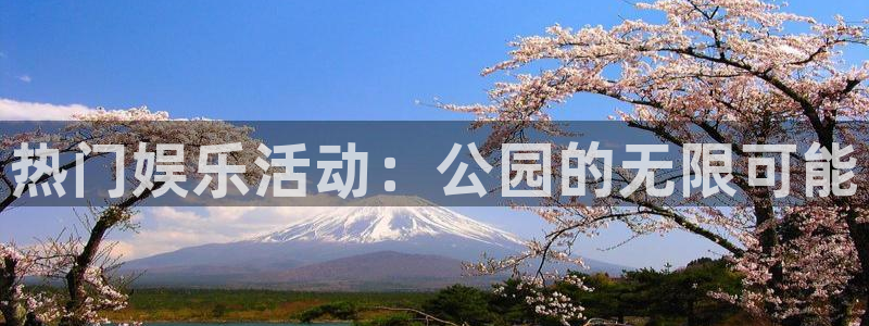 mg不朽情缘体育eon：热门娱乐活动：公园的无限可能