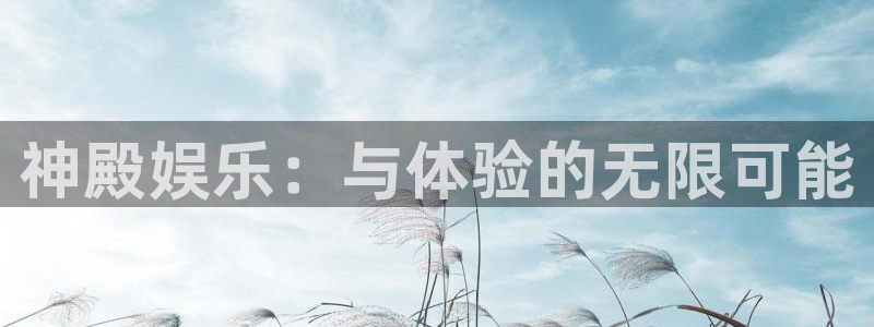 mg不朽情缘4平台：神殿娱乐：与体验的无限可能