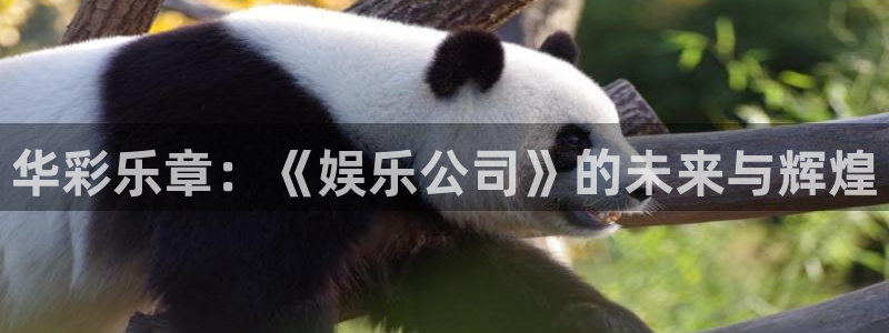 mg不朽情缘3登陆：华彩乐章：《娱乐公司》的未来与辉煌