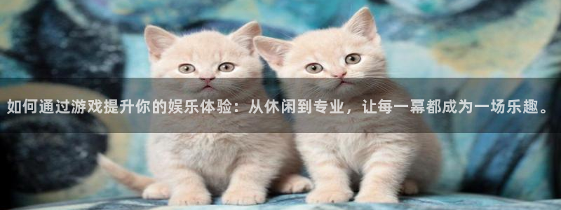 mg不朽情缘4平台注册：如何通过游戏提升你的娱乐体验：从休闲到专业，让每一幕都成