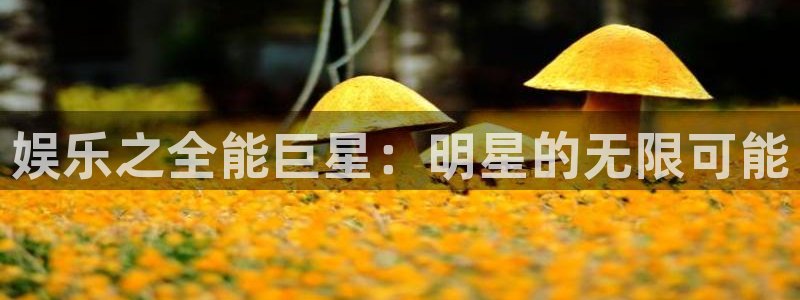 mg不朽情缘：娱乐之全能巨星：明星的无限可能