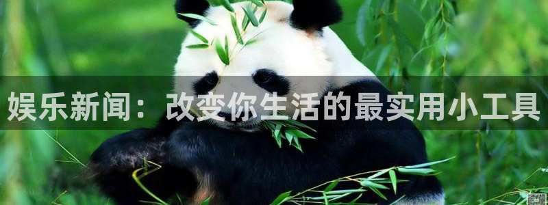 mg不朽情缘体育平台总代理：娱乐新闻：改变你生活的最实用小工具
