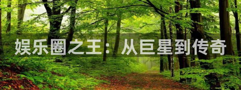 mg不朽情缘登录注册：娱乐圈之王：从巨星到传奇