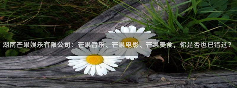mg不朽情缘4官网：湖南芒果娱乐有限公司：芒果音乐、芒果电影、芒果美食，你是否也