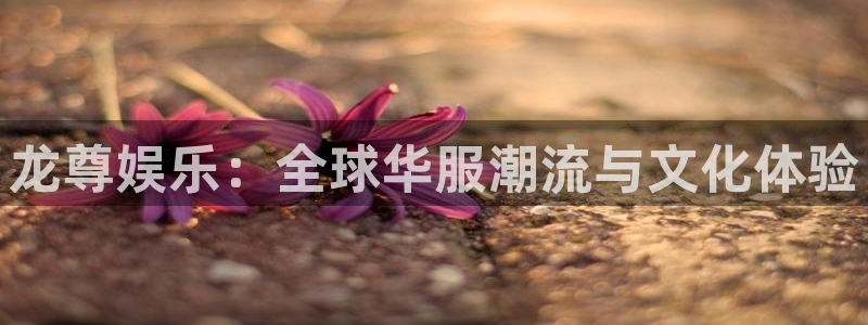 mg不朽情缘代理