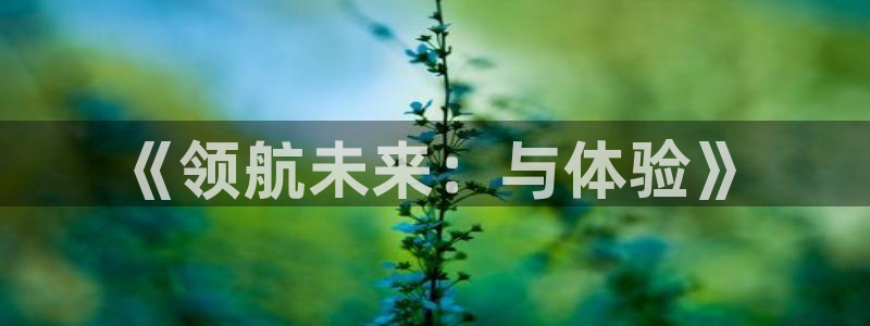 mg不朽情缘3代理：《领航未来：与体验》