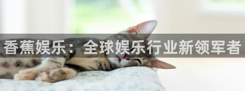 东莞市mg不朽情缘电子科技有限公司