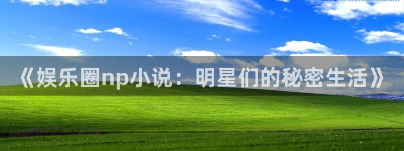 mg不朽情缘体育eon：《娱乐圈np小说：明星们的秘密生活》