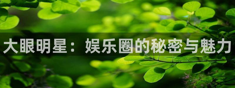 成都mg不朽情缘电子有限公司：大眼明星：娱乐圈的秘密与魅力