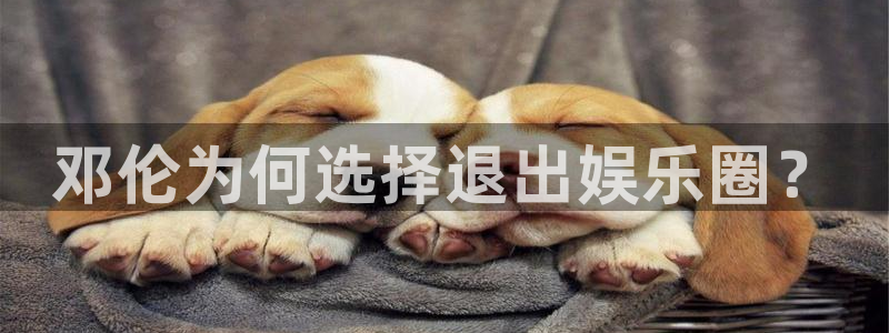 上海mg不朽情缘汽车电子有限公司：邓伦为何选择退出娱乐圈？