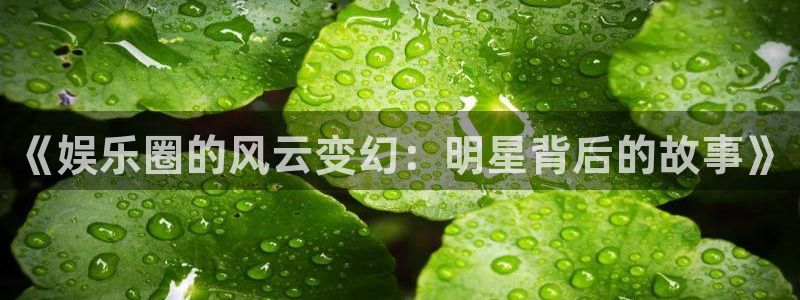 mg不朽情缘平台注册：《娱乐圈的风云变幻：明星背后的故事》